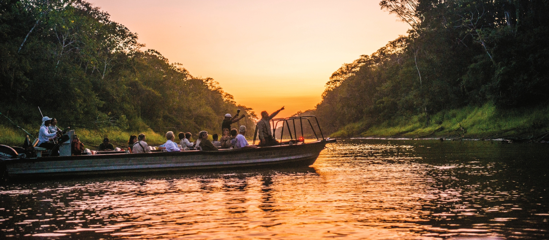 Brazilian Amazon Rainforest